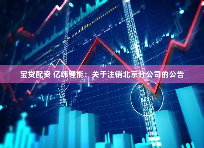 宝贷配资 亿纬锂能：关于注销北京分公司的公告