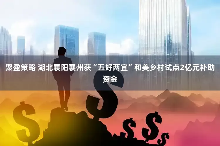 聚盈策略 湖北襄阳襄州获“五好两宜”和美乡村试点2亿元补助资金