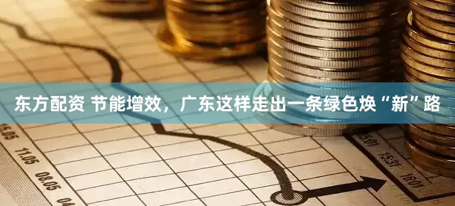 东方配资 节能增效，广东这样走出一条绿色焕“新”路