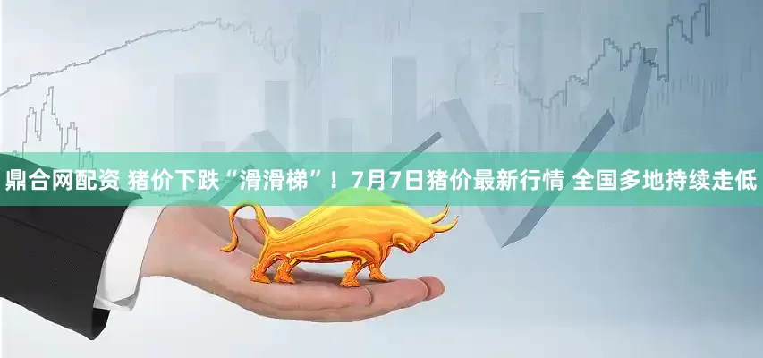 鼎合网配资 猪价下跌“滑滑梯”！7月7日猪价最新行情 全国多地持续走低