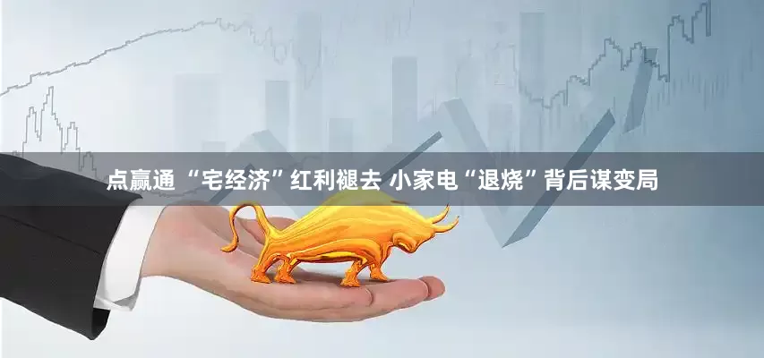 点赢通 “宅经济”红利褪去 小家电“退烧”背后谋变局